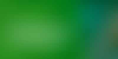 Decoding Gamers vs. Enthusiasts - 🎮 Unraveling the Distinction